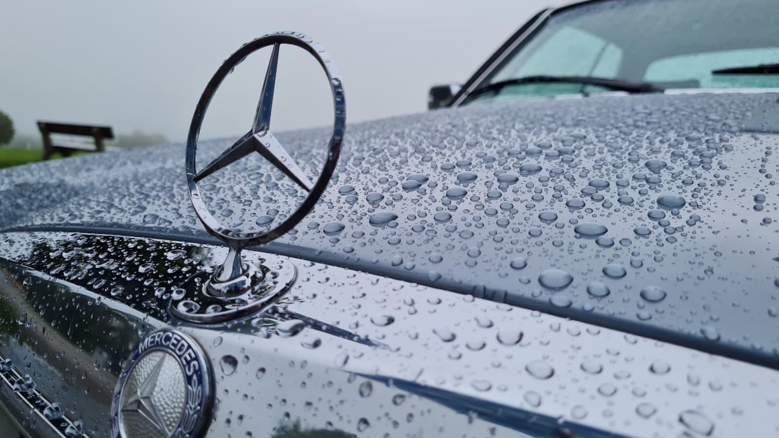 Mercedes-Stern und Motorhaube eines W123 mit Regentropfen