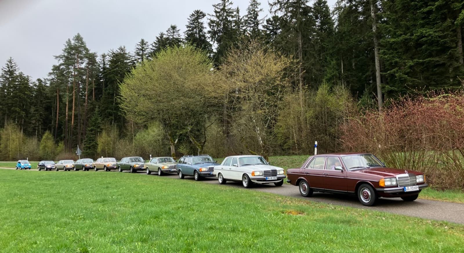 Reihe von W123 am Waldrand bei einer Frühjahrsausfahrt