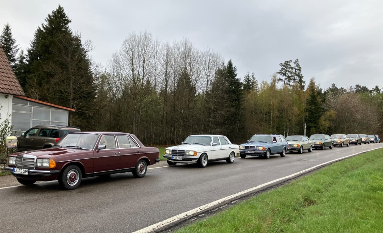 W123-Konvoi auf einer Waldstraße bei einer gemeinsamen Ausfahrt