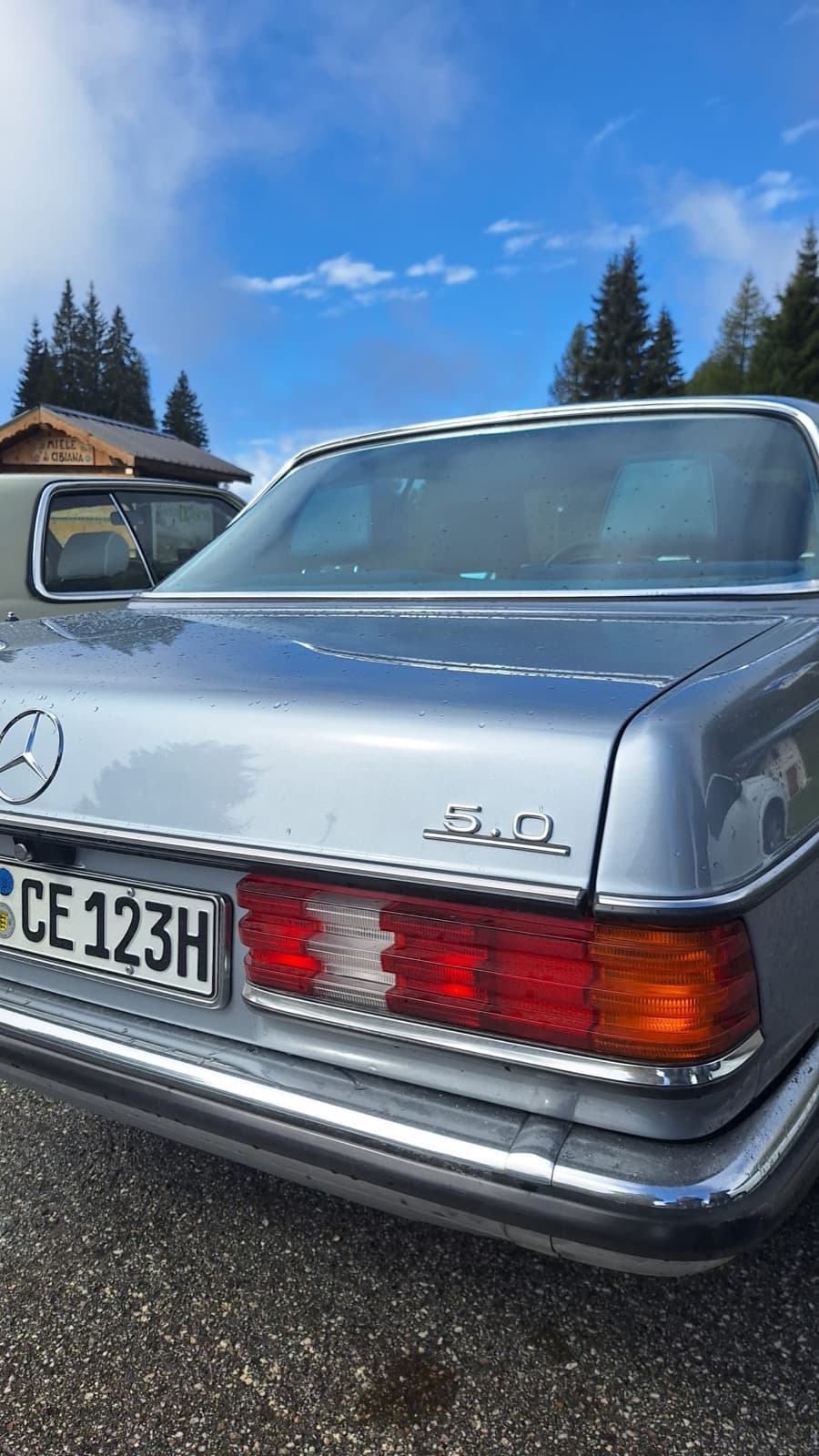 Heck eines W123 300 D mit H-Kennzeichen vor Bergkulisse
