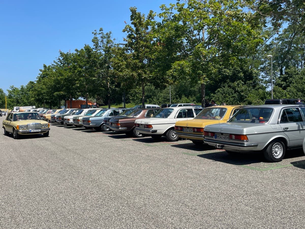 Aufgereihte Mercedes-Benz W123 bei einem Vereinstreffen